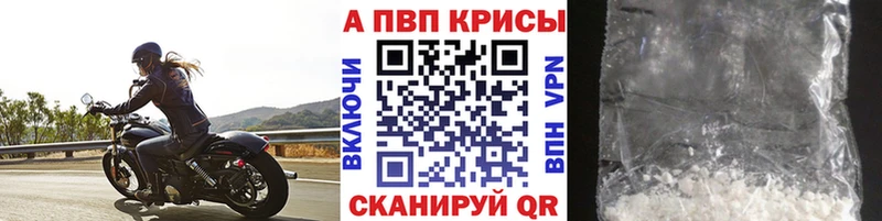 где продают   Чернушка  Alpha PVP СК 