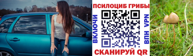 Псилоцибиновые грибы ЛСД Чернушка