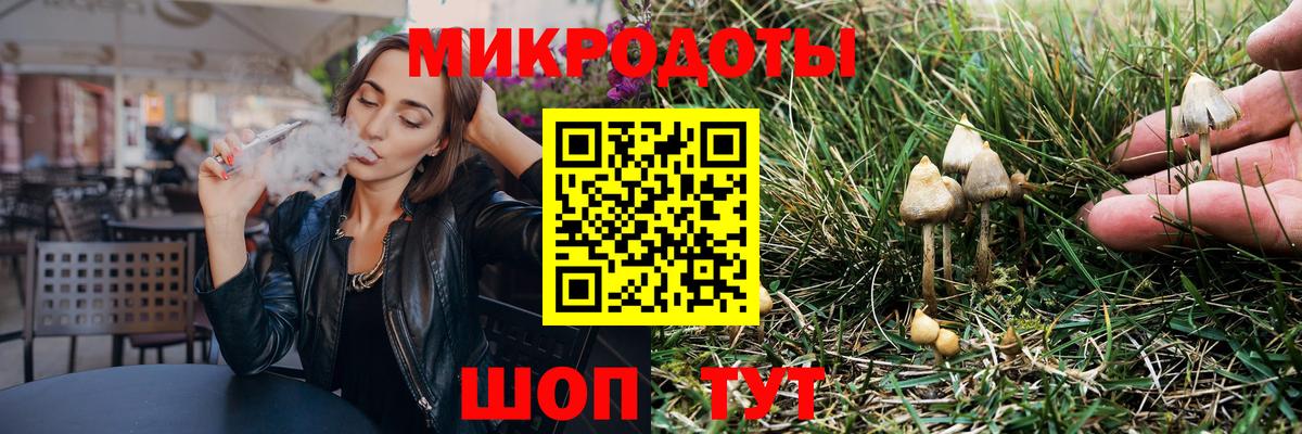 Псилоцибиновые грибы мицелий Чернушка