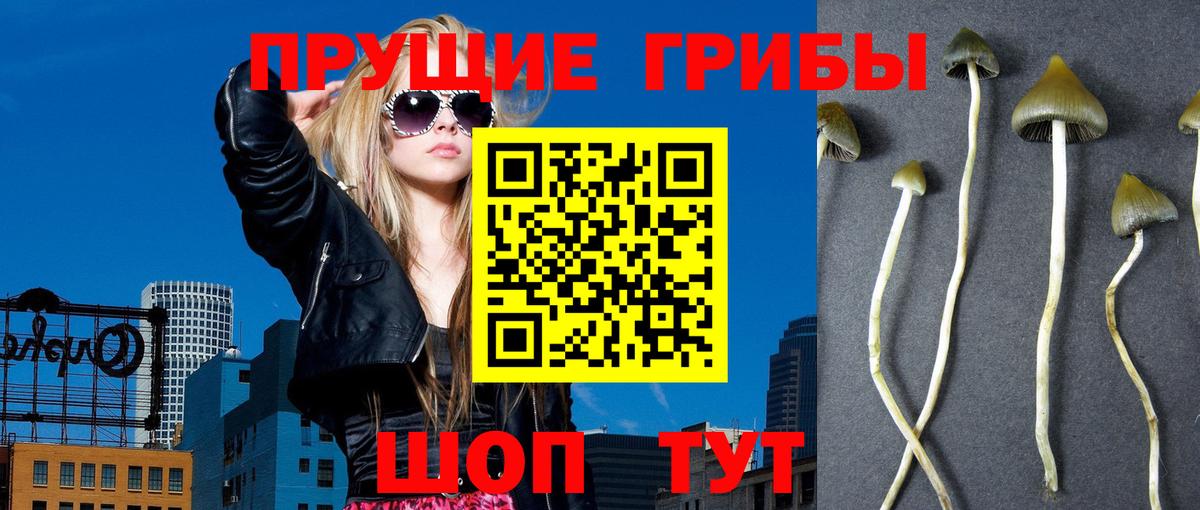 Псилоцибиновые грибы GOLDEN TEACHER  Псилоцибиновые грибы мухоморы  Вход с VPN  Чернушка 